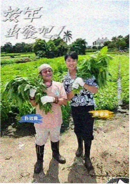 午夜影院 电波少年 深夜青春音乐动画海报